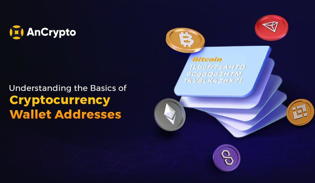 Understanding the Basics of Cryptocurrency Wallet Addresses