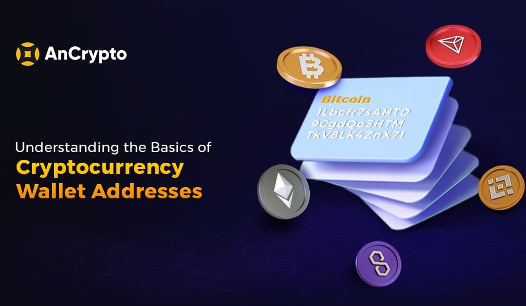 Understanding the Basics of Cryptocurrency Wallet Addresses Banner