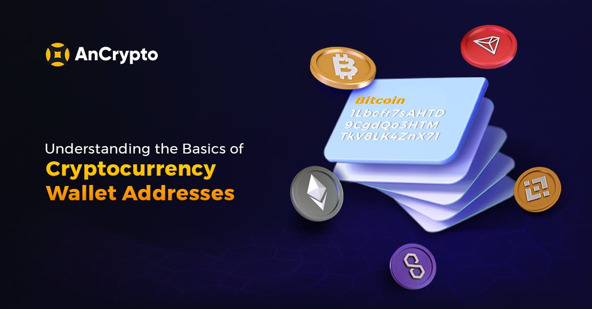 Understanding the Basics of Cryptocurrency Wallet Addresses