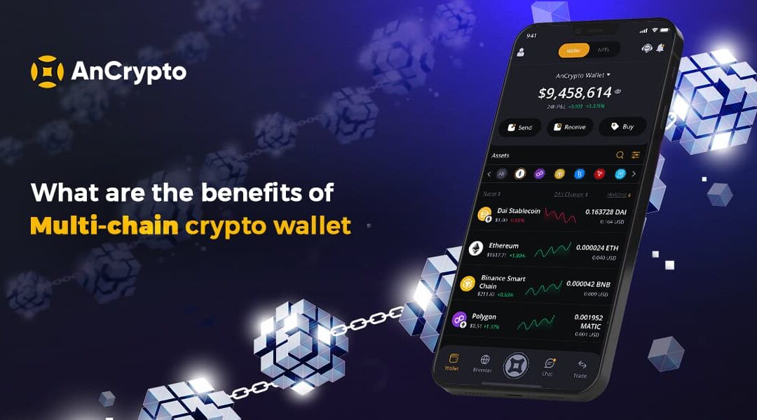 Multichain Crypto Wallet Banner