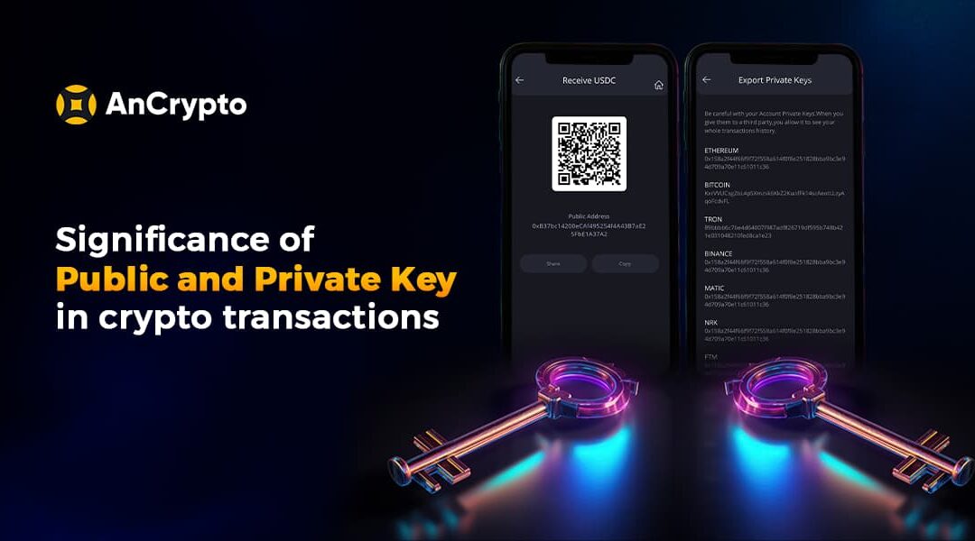 Significance of Public and Private Key In Crypto Transactions